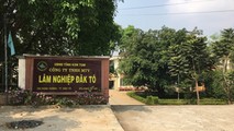 Cty Lâm nghiệp Đắk Tô (Kon Tum): Nhiều vi phạm trong quản lý, bảo vệ rừng