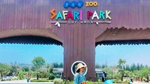 Cách Làm Pate Ngon Như Ngoài Hàng, Cách Làm Pate Gan Heo Thơm Ngon & Chuẩn Nhất 2021 6 *