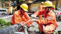 Cán bộ Công ty điện lực Hải Phòng được huấn luyện về an toàn vệ sinh lao động