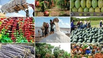 Rất nhiều thị trường đang lựa chọn các mặt hàng từ Việt Nam
