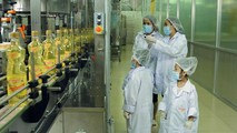 Dầu ăn 100% từ cá an toàn & chất lượng cho mọi gia đình