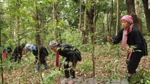 Luật Lâm nghiệp năm 2017 có hiệu lực từ ngày 1/1/2019, lần đầu tiên đã công nhận cộng đồng dân cư là 1 trong 7 chủ rừng
