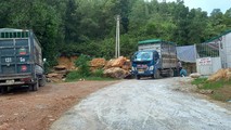 Trang trại lợn chưa được cấp phép,chưa có đánh giá tác động môi trường nhưng vẫn hoạt động nhiều năm không hề bị xử lý ?