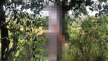 Giáo viên nghỉ hưu tự tử vì bị nghi ăn trộm điện thoại ở Hà Nội