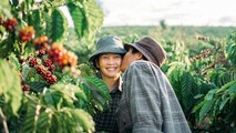 Bộ ảnh 'tình tứ' ở vườn cà phê của vợ chồng Kon Tum gây sốt