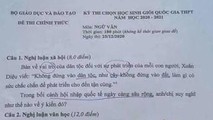 Đề thi văn học sinh giỏi - rằng hay thì thật là hay...