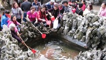 Ảnh minh họa từ internet