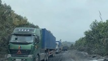 Quảng Ninh yêu cầu xử lý nghiêm tình trạng khai thác, vận chuyển than trái phép