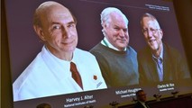Harvey J. Alter, Michael Houghton và Charles M. Rice trên màn hình khi được công bố là những người chiến thắng Giải Nobel Y Sinh năm 2020 trong cuộc họp báo tại Viện Karolinska ở Stockholm, Thụy Điển, ngày 5/10/2020. Ảnh: REUTERS