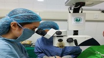Các bác sĩ phẫu thuật cắt mộng cho bệnh nhân (ảnh: BVCC)