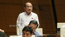 ĐB Nguyễn Thanh Hiền (đoàn Nghệ An) phát biểu tại phiên họp.