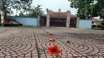 Báo chí phản ánh cổng mới của di tích quốc gia đền An Liệt có kiến trúc không phù hợp