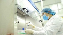 Nhân viên CDC tỉnh Vĩnh Phúc thực hiện xét nghiệm virus SARS-CoV-2.