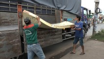Nệm giả thương hiệu Thắng Lợi