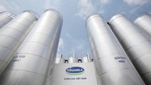 Vinamilk là đại diện duy nhất của khu vực Đông Nam Á trong Top 10 thương hiệu sữa giá trị nhất toàn cầu năm 2021 với vị thứ 8/10.