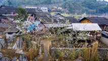 Xuân đang về trên những nẻo đường Hà Giang.