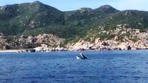 Cá voi nổi ở vịnh Cam Ranh được du khách ghi lại (Ảnh chụp màn hình).
