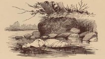 Hình vẽ thi thể Mary Cecilia Rogers nổi trên sông đăng trên các báo