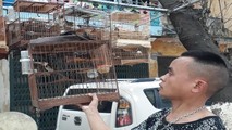 Chăm sóc chim là niềm đam mê của anh Nhớ.