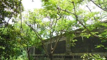 Một đoạn tường của Đồn Rạch Cát nhìn từ bên ngoài.