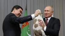 Tổng thống Nga Putin vui vẻ đón nhạn chú chó Alabai từ Tổng thống Turkmenistan.