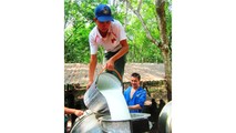 Rừng cao su và cả một trời tuổi thơ trong trẻo