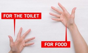 Những sự thật thú vị liên quan đến toilet trên thế giới