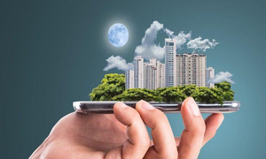 Ảnh đại diện từ internet.