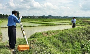 Ảnh minh họa (nguồn: Internet).