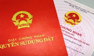 Ảnh minh họa (nguồn: Internet).
