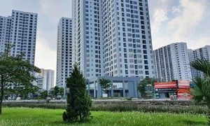 Ảnh minh họa từ internet.