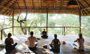 Dồi dào tiềm năng nhưng Việt Nam vẫn chưa khai thác xứng tầm để phục vụ sự phát triển của du lịch chăm sóc sức khỏe.