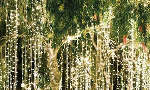 Những ý tưởng đèn dây tuyệt đẹp khiến khu vườn lung linh như cổ tích