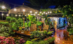 Bỏ phố về quê 'trốn dịch' người đàn ông tự xây homestay đẹp như Đà Lạt, làm hồ cá Koi đẹp mê ly