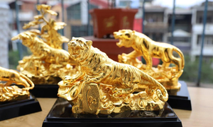 Hổ vàng – linh vật đại diện của năm Nhâm Dần 2022