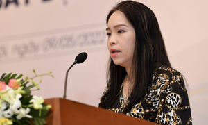 Bà Hoàng Hải Anh, Phó Chủ tịch kiêm Tổng Thư ký Hiệp hội Kinh doanh Chứng khoán Việt Nam