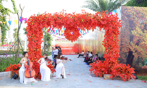 Say đắm cùng “Dạ tiệc mùa thu” tại khu vườn Sunshine City