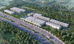 Tổng thể dự án nhà liền kề 2 sân vườn Rosita Garden