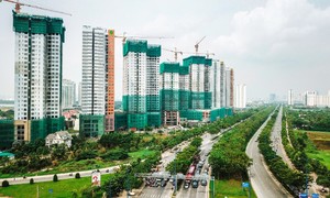 Ảnh minh họa nguồn Internet