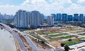 Dự báo đất nền, chung cư sẽ là lĩnh vực BĐS phát triển chủ đạo trong năm 2020