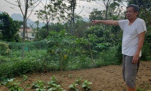 Ông Nguyễn Trọng Bình không đồng ý với quyết định của UBND xã Tân Lập.
