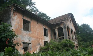 Căn biệt thự đỏ nổi bật giữa rừng xanh.