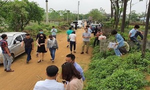 Ảnh minh họa (nguồn: Internet).