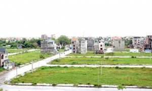 Ảnh minh họa (nguồn: Internet).