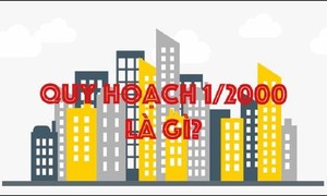 Ảnh minh họa (nguồn: Internet).