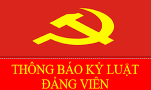 Ảnh minh họa (nguồn: Internet).