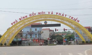 Ảnh minh họa (nguồn: Internet)