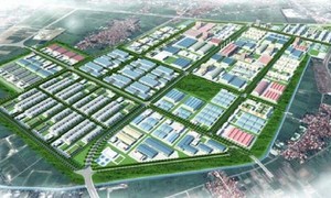 Ảnh minh họa (nguồn: Internet).