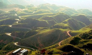 Ảnh minh họa (nguồn: Internet).