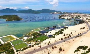 IPPG của ông Johnathan Hạnh Nguyễn đề xuất đầu tư những gì ở Khánh Hòa?